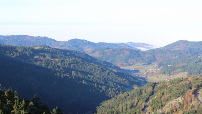 Dieses Bild zeigt eine Webcam-Aufnahme vom Achertal, aufgenommen am Montag, den 10.11.2025 um 10:00 Uhr. Die Temperatur betrug 5°C.