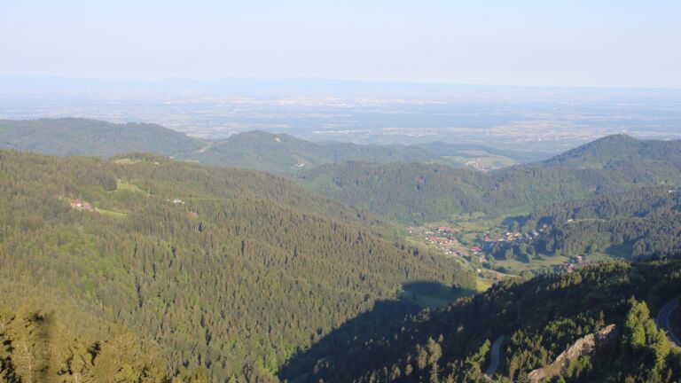 Dieses Bild zeigt eine Webcam-Aufnahme vom Achertal, aufgenommen am Montag, den 12.05.2025 um 07:30 Uhr. Die Temperatur betrug 12.7°C.