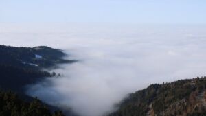 Dieses Bild zeigt eine Webcam-Aufnahme vom Achertal, aufgenommen am Sonntag, den 18.01.2026 um 12:40 Uhr. Die Temperatur betrug 7.2°C.