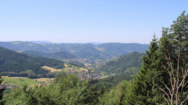 Dieses Bild zeigt eine Webcam-Aufnahme vom Achertal, aufgenommen am Donnerstag, den 25.06.2026 um 12:00 Uhr. Die Temperatur betrug 31.5°C.