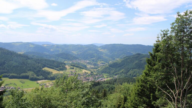 Dieses Bild zeigt eine Webcam-Aufnahme vom Achertal, aufgenommen am Mittwoch, den 17.06.2026 um 13:10 Uhr. Die Temperatur betrug 25.2°C.