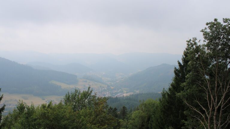 Dieses Bild zeigt eine Webcam-Aufnahme vom Achertal, aufgenommen am Montag, den 17.08.2026 um 11:50 Uhr. Die Temperatur betrug 17.1°C.