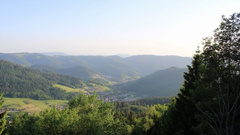 Dieses Bild zeigt eine Webcam-Aufnahme vom Achertal, aufgenommen am Montag, den 25.05.2026 um 19:50 Uhr. Die Temperatur betrug 27.1°C.