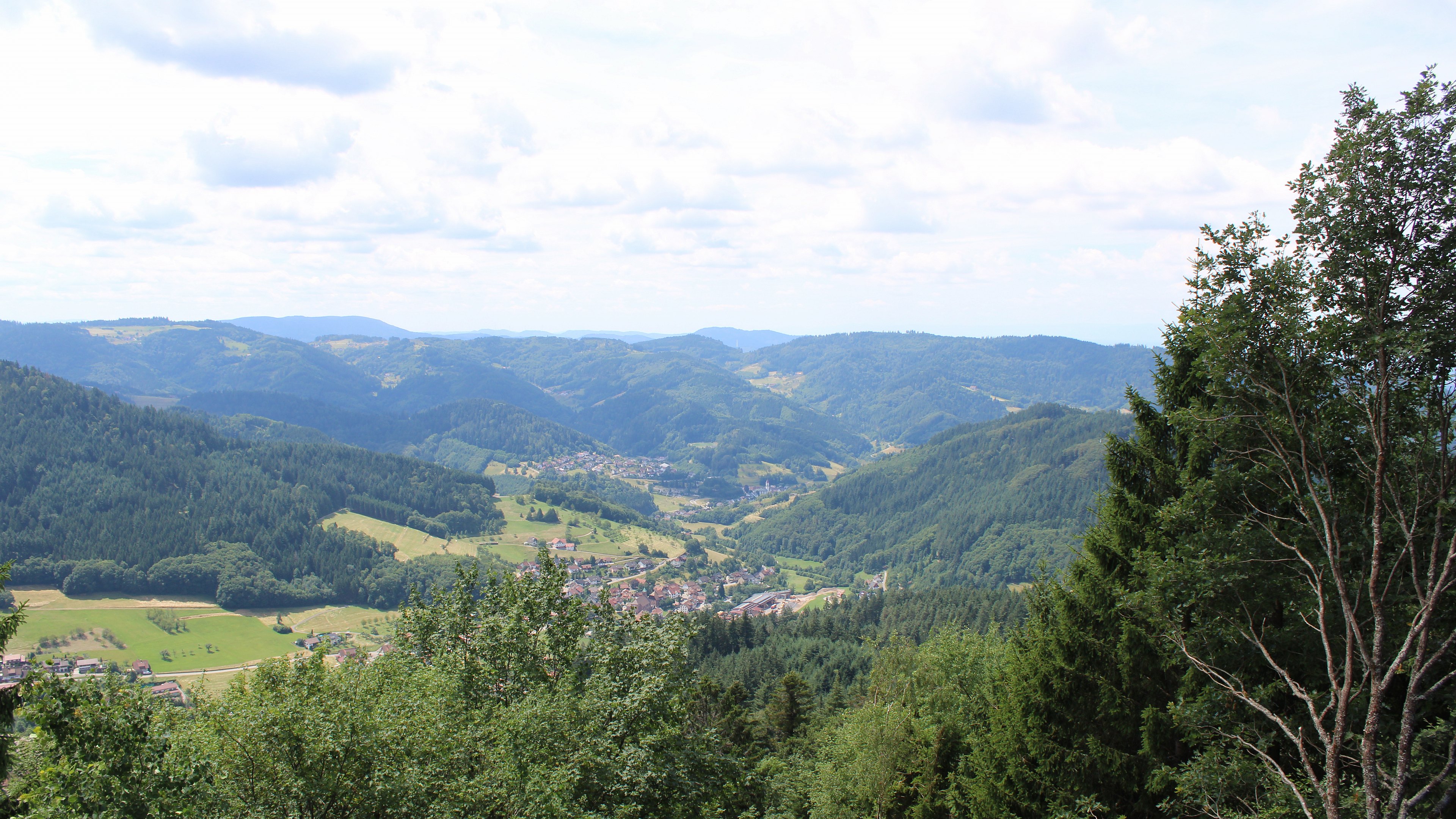 Zum Fotoarchiv vom Montag, 6. Juli 2026