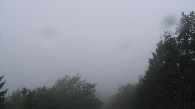 Dieses Bild zeigt eine Webcam-Aufnahme vom Achertal, aufgenommen am Mittwoch, den 01.07.2026 um 08:00 Uhr. Die Temperatur betrug 16.7°C.