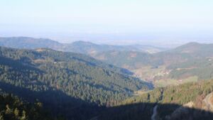 Dieses Bild zeigt eine Webcam-Aufnahme vom Achertal, aufgenommen am Dienstag, den 03.03.2026 um 08:40 Uhr. Die Temperatur betrug 8.3°C.