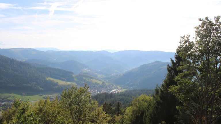 Dieses Bild zeigt eine Webcam-Aufnahme vom Achertal, aufgenommen am Samstag, den 03.10.2026 um 16:30 Uhr. Die Temperatur betrug 21.8°C.