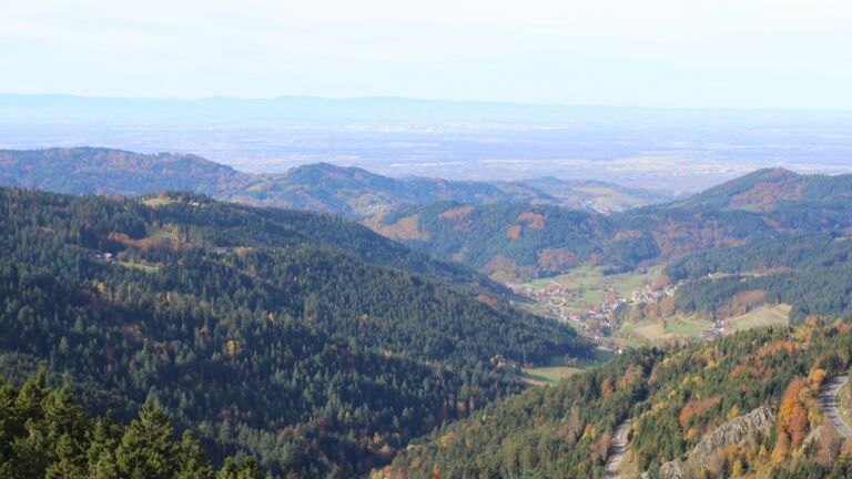 Dieses Bild zeigt eine Webcam-Aufnahme vom Achertal, aufgenommen am Mittwoch, den 29.10.2025 um 11:20 Uhr. Die Temperatur betrug 11.4°C.