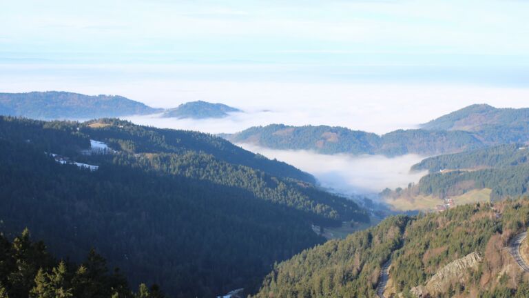 Dieses Bild zeigt eine Webcam-Aufnahme vom Achertal, aufgenommen am Freitag, den 23.01.2026 um 10:30 Uhr. Die Temperatur betrug 4.9°C.