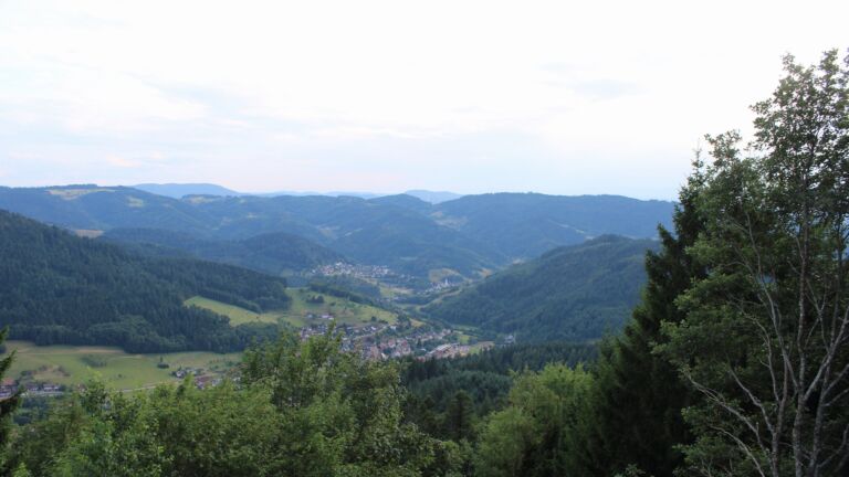 Dieses Bild zeigt eine Webcam-Aufnahme vom Achertal, aufgenommen am Freitag, den 17.07.2026 um 19:20 Uhr. Die Temperatur betrug 25°C.