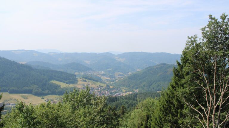 Dieses Bild zeigt eine Webcam-Aufnahme vom Achertal, aufgenommen am Freitag, den 31.07.2026 um 12:10 Uhr. Die Temperatur betrug 29.9°C.