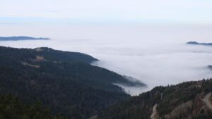 Dieses Bild zeigt eine Webcam-Aufnahme vom Achertal, aufgenommen am Montag, den 22.12.2025 um 10:50 Uhr. Die Temperatur betrug 9.2°C.