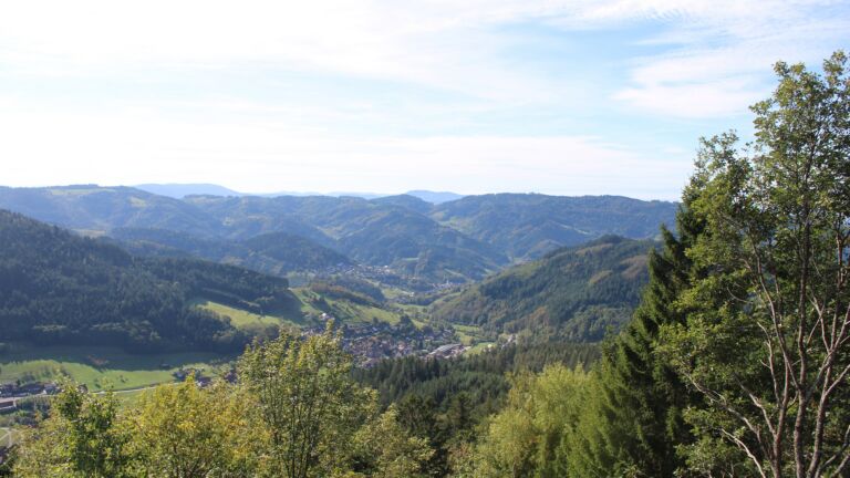 Dieses Bild zeigt eine Webcam-Aufnahme vom Achertal, aufgenommen am Donnerstag, den 15.10.2026 um 13:20 Uhr. Die Temperatur betrug 20°C.