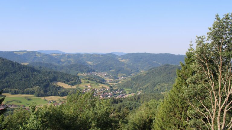 Dieses Bild zeigt eine Webcam-Aufnahme vom Achertal, aufgenommen am Samstag, den 27.06.2026 um 08:50 Uhr. Die Temperatur betrug 35.3°C.