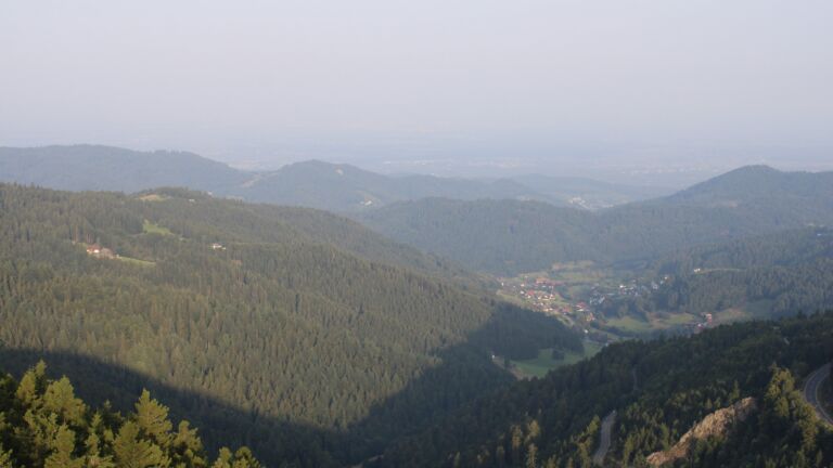 Dieses Bild zeigt eine Webcam-Aufnahme vom Achertal, aufgenommen am Freitag, den 15.08.2025 um 07:40 Uhr. Die Temperatur betrug 24.6°C.