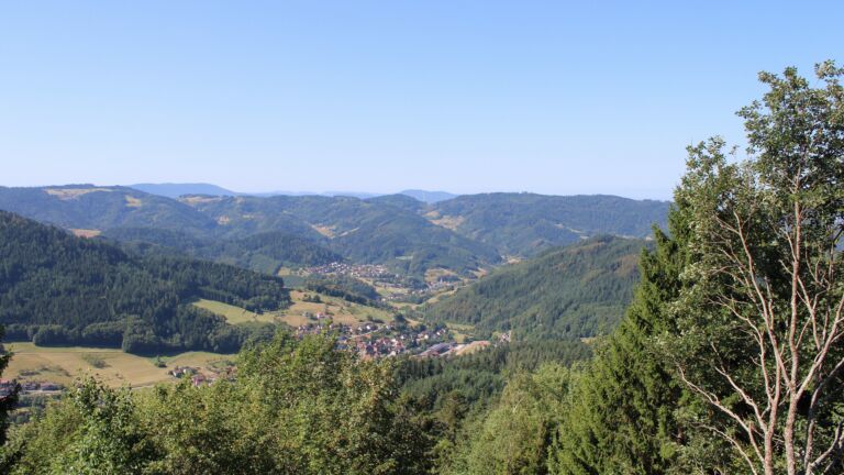 Dieses Bild zeigt eine Webcam-Aufnahme vom Achertal, aufgenommen am Freitag, den 07.08.2026 um 10:50 Uhr. Die Temperatur betrug 22.2°C.