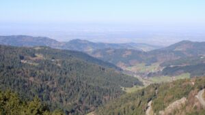 Dieses Bild zeigt eine Webcam-Aufnahme vom Achertal, aufgenommen am Mittwoch, den 08.04.2026 um 10:10 Uhr. Die Temperatur betrug 11.8°C.