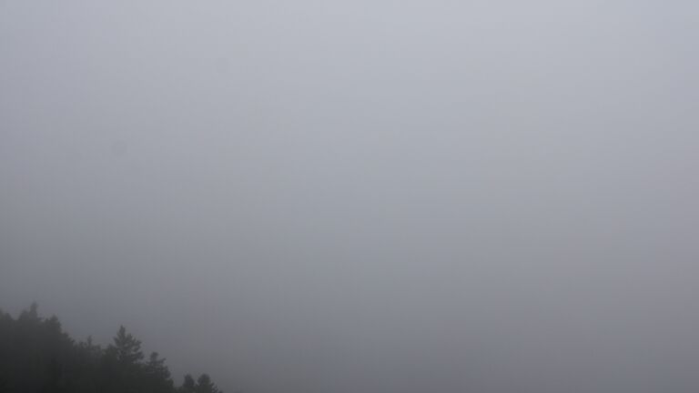 Dieses Bild zeigt eine Webcam-Aufnahme vom Achertal, aufgenommen am Sonntag, den 07.12.2025 um 11:10 Uhr. Die Temperatur betrug 4.5°C.