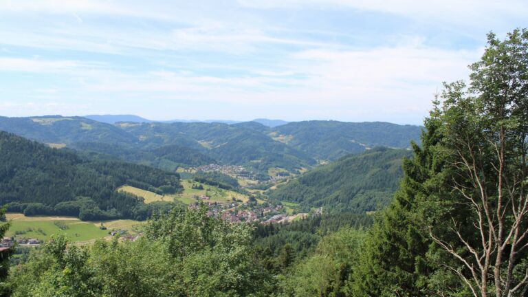 Dieses Bild zeigt eine Webcam-Aufnahme vom Achertal, aufgenommen am Freitag, den 03.07.2026 um 12:20 Uhr. Die Temperatur betrug 20.4°C.
