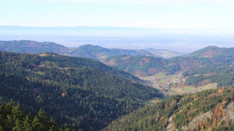 Dieses Bild zeigt eine Webcam-Aufnahme vom Achertal, aufgenommen am Mittwoch, den 05.11.2025 um 10:30 Uhr. Die Temperatur betrug 15.1°C.