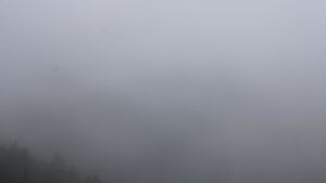 Dieses Bild zeigt eine Webcam-Aufnahme vom Achertal, aufgenommen am Sonntag, den 02.11.2025 um 11:40 Uhr. Die Temperatur betrug 6.3°C.