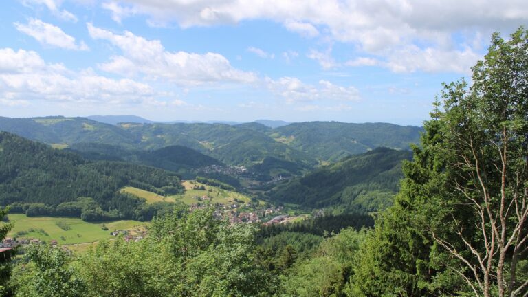 Dieses Bild zeigt eine Webcam-Aufnahme vom Achertal, aufgenommen am Samstag, den 13.06.2026 um 11:50 Uhr. Die Temperatur betrug 19°C.
