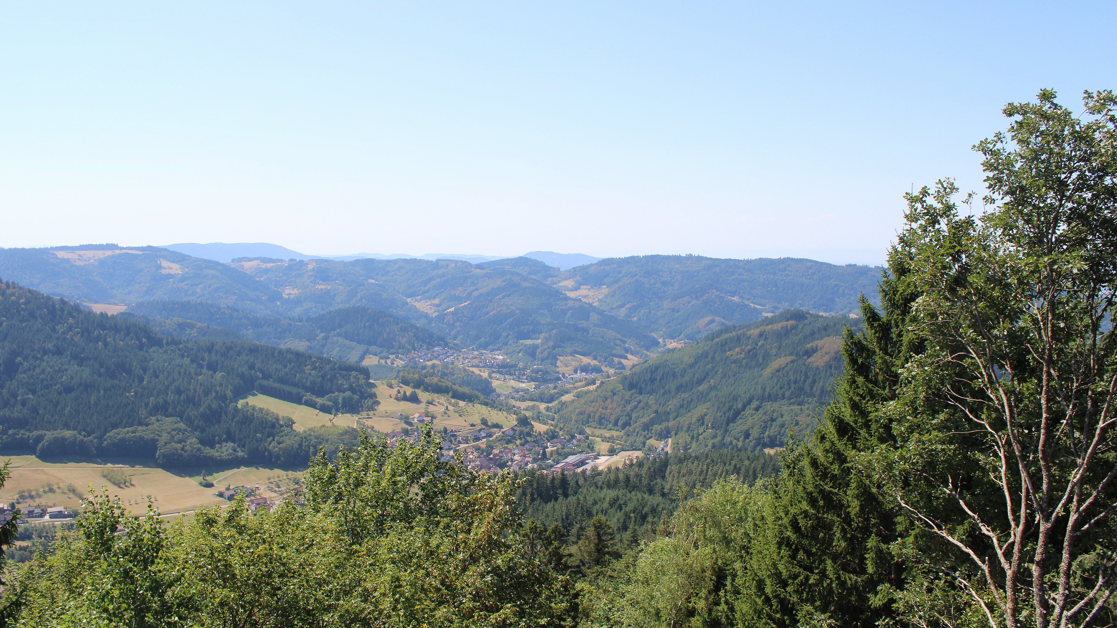 Zum Fotoarchiv vom Freitag, 14. August 2026