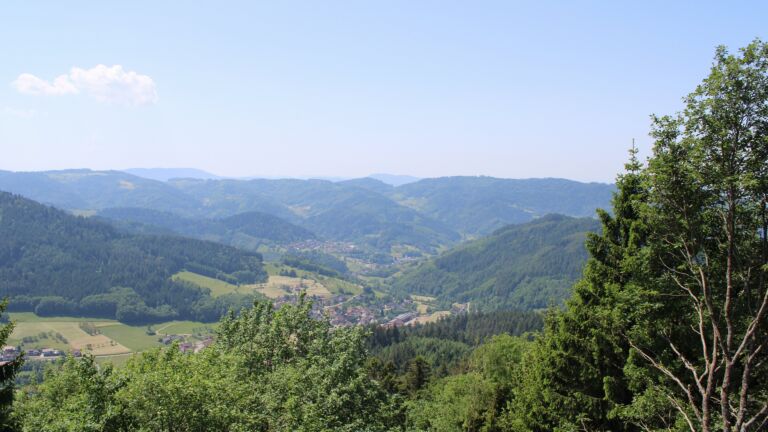Dieses Bild zeigt eine Webcam-Aufnahme vom Achertal, aufgenommen am Dienstag, den 26.05.2026 um 12:50 Uhr. Die Temperatur betrug 27.6°C.