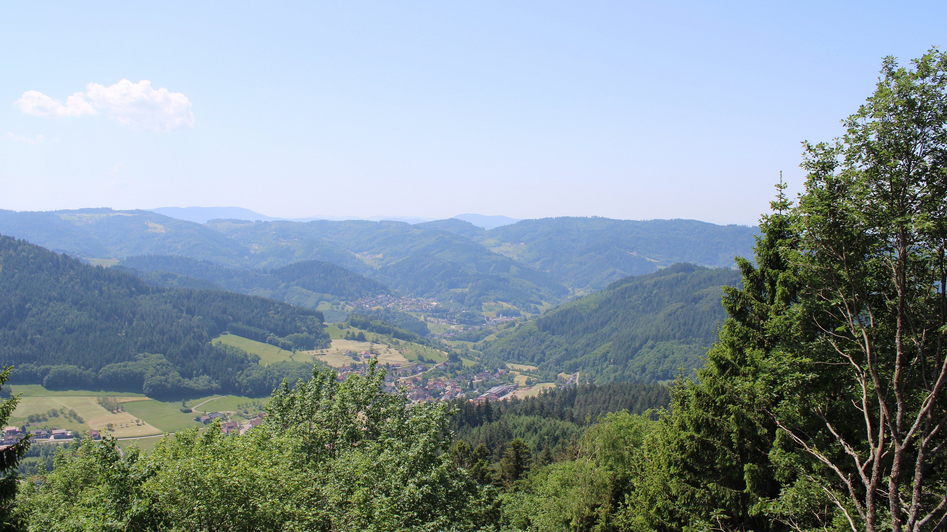 Zum Fotoarchiv vom Dienstag, 26. Mai 2026