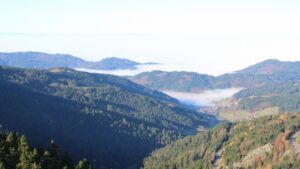 Dieses Bild zeigt eine Webcam-Aufnahme vom Achertal, aufgenommen am Samstag, den 08.11.2025 um 09:50 Uhr. Die Temperatur betrug 13.6°C.