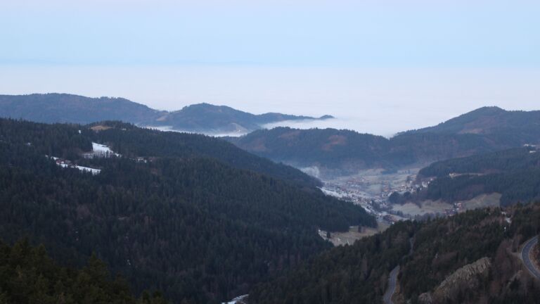 Dieses Bild zeigt eine Webcam-Aufnahme vom Achertal, aufgenommen am Donnerstag, den 22.01.2026 um 08:00 Uhr. Die Temperatur betrug 5.1°C.