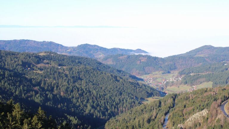 Dieses Bild zeigt eine Webcam-Aufnahme vom Achertal, aufgenommen am Mittwoch, den 25.02.2026 um 09:30 Uhr. Die Temperatur betrug 9.2°C.