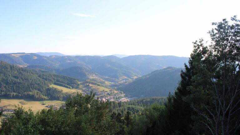Dieses Bild zeigt eine Webcam-Aufnahme vom Achertal, aufgenommen am Mittwoch, den 19.08.2026 um 18:40 Uhr. Die Temperatur betrug 29.5°C.