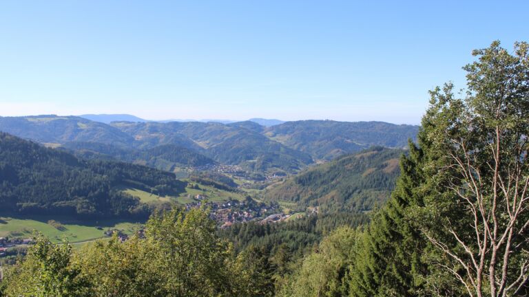 Dieses Bild zeigt eine Webcam-Aufnahme vom Achertal, aufgenommen am Freitag, den 25.09.2026 um 11:30 Uhr. Die Temperatur betrug 19.1°C.