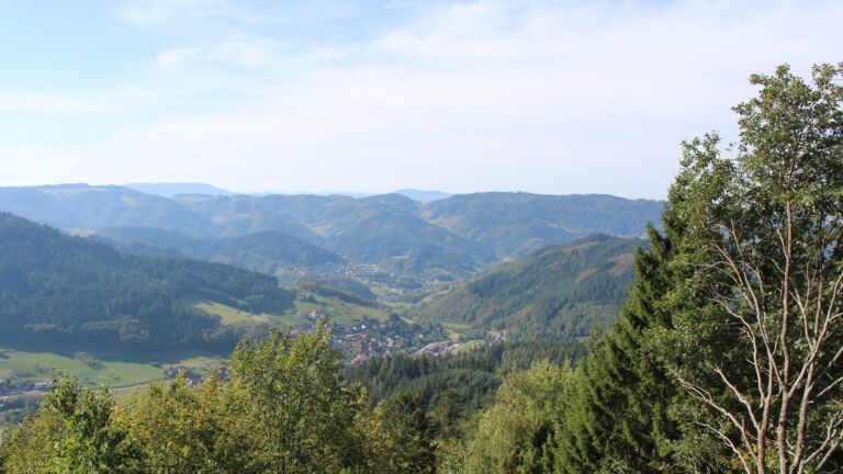 Dieses Bild zeigt eine Webcam-Aufnahme vom Achertal, aufgenommen am Dienstag, den 29.09.2026 um 11:40 Uhr. Die Temperatur betrug 25.4°C.