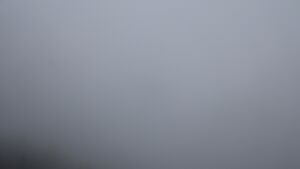 Dieses Bild zeigt eine Webcam-Aufnahme vom Achertal, aufgenommen am Mittwoch, den 11.02.2026 um 08:50 Uhr. Die Temperatur betrug 3.8°C.