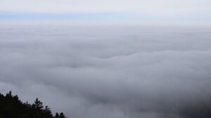 Dieses Bild zeigt eine Webcam-Aufnahme vom Achertal, aufgenommen am Sonntag, den 25.01.2026 um 11:40 Uhr. Die Temperatur betrug 2.8°C.