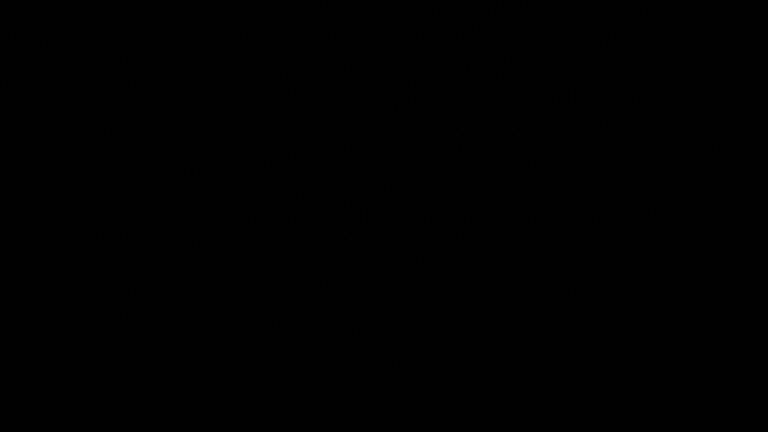 Dieses Bild zeigt eine Webcam-Aufnahme vom Achertal, aufgenommen am Montag, den 11.05.2026 um 03:00 Uhr. Die Temperatur betrug 9.1°C.