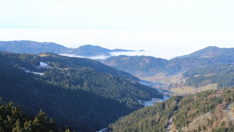 Dieses Bild zeigt eine Webcam-Aufnahme vom Achertal, aufgenommen am Mittwoch, den 21.01.2026 um 11:20 Uhr. Die Temperatur betrug 9.6°C.