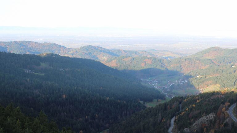 Dieses Bild zeigt eine Webcam-Aufnahme vom Achertal, aufgenommen am Mittwoch, den 05.11.2025 um 08:30 Uhr. Die Temperatur betrug 13.1°C.