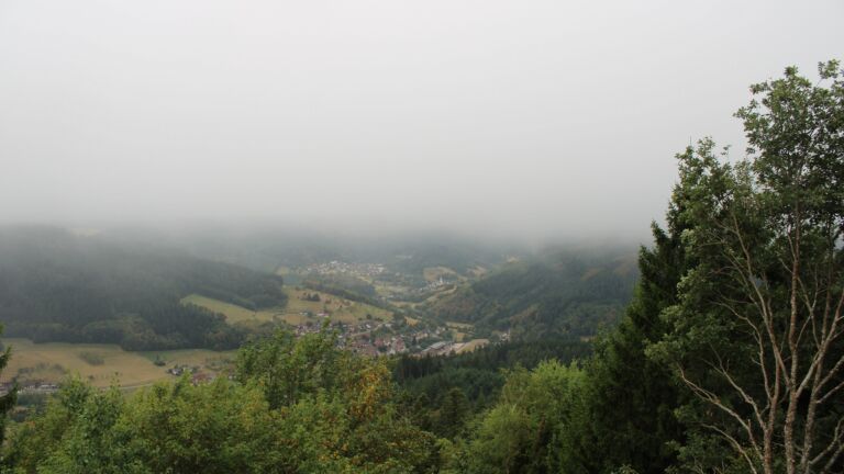 Dieses Bild zeigt eine Webcam-Aufnahme vom Achertal, aufgenommen am Donnerstag, den 20.08.2026 um 08:50 Uhr. Die Temperatur betrug 16.4°C.