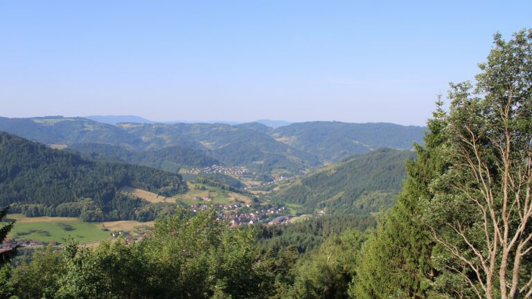 Dieses Bild zeigt eine Webcam-Aufnahme vom Achertal, aufgenommen am Dienstag, den 23.06.2026 um 08:40 Uhr. Die Temperatur betrug 31.3°C.