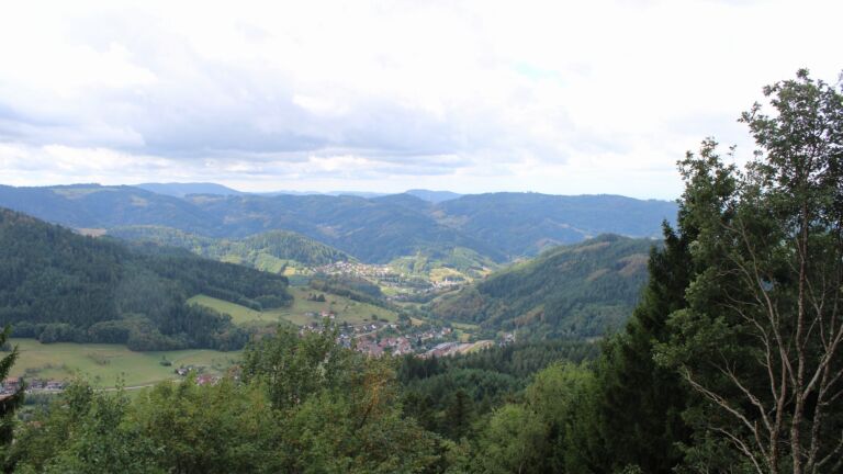 Dieses Bild zeigt eine Webcam-Aufnahme vom Achertal, aufgenommen am Montag, den 31.08.2026 um 11:30 Uhr. Die Temperatur betrug 14.7°C.