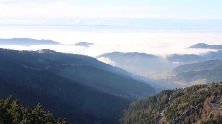 Dieses Bild zeigt eine Webcam-Aufnahme vom Achertal, aufgenommen am Mittwoch, den 03.12.2025 um 14:40 Uhr. Die Temperatur betrug 6.7°C.