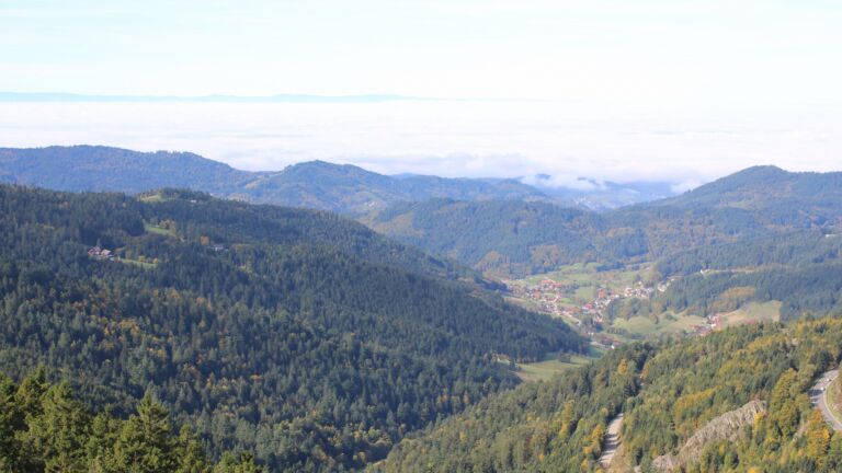 Dieses Bild zeigt eine Webcam-Aufnahme vom Achertal, aufgenommen am Mittwoch, den 08.10.2025 um 11:40 Uhr. Die Temperatur betrug 16.6°C.