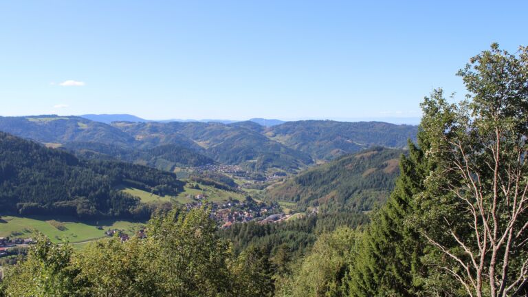 Dieses Bild zeigt eine Webcam-Aufnahme vom Achertal, aufgenommen am Dienstag, den 15.09.2026 um 11:30 Uhr. Die Temperatur betrug 25.3°C.