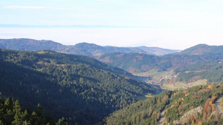 Dieses Bild zeigt eine Webcam-Aufnahme vom Achertal, aufgenommen am Donnerstag, den 06.11.2025 um 09:50 Uhr. Die Temperatur betrug 10.8°C.