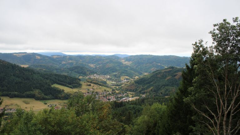 Dieses Bild zeigt eine Webcam-Aufnahme vom Achertal, aufgenommen am Donnerstag, den 20.08.2026 um 11:40 Uhr. Die Temperatur betrug 16°C.