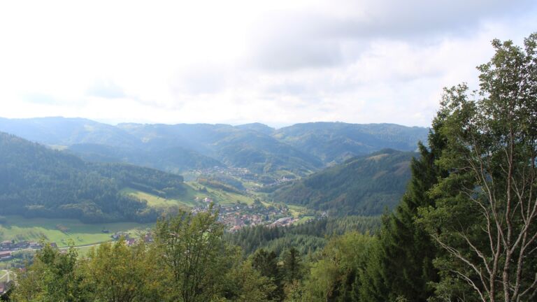Dieses Bild zeigt eine Webcam-Aufnahme vom Achertal, aufgenommen am Mittwoch, den 14.10.2026 um 12:30 Uhr. Die Temperatur betrug 16.5°C.