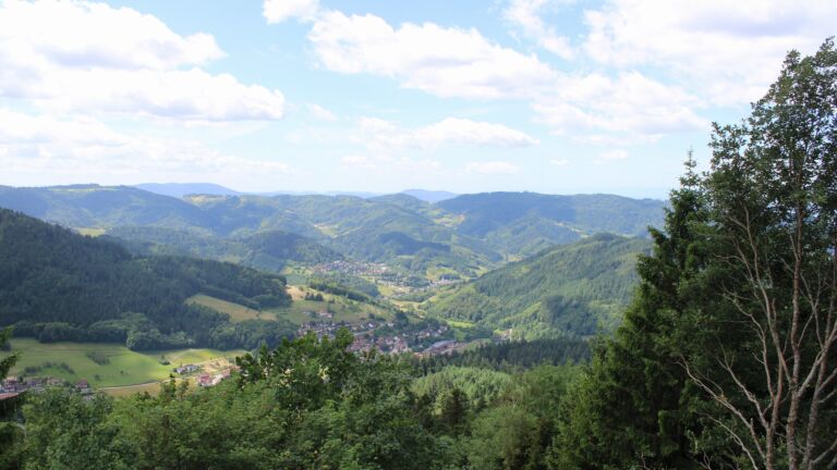 Dieses Bild zeigt eine Webcam-Aufnahme vom Achertal, aufgenommen am Samstag, den 13.06.2026 um 12:20 Uhr. Die Temperatur betrug 19.5°C.